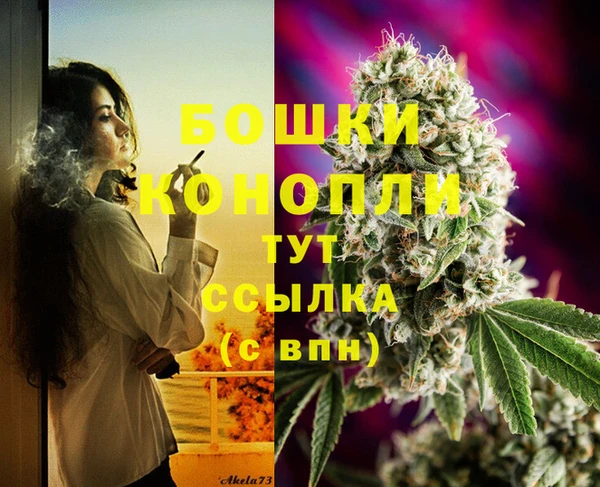 таблы Богородицк